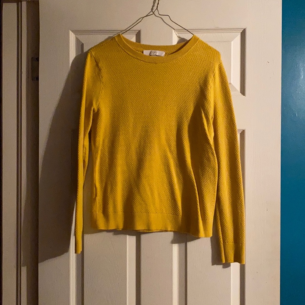 Loft Sweater